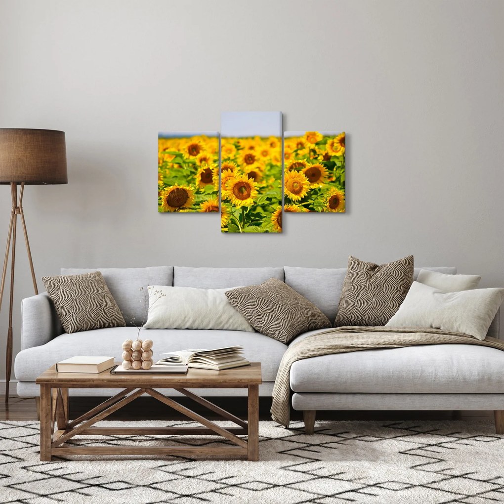 Tablou - Floarea-soarelui (90x60 cm)