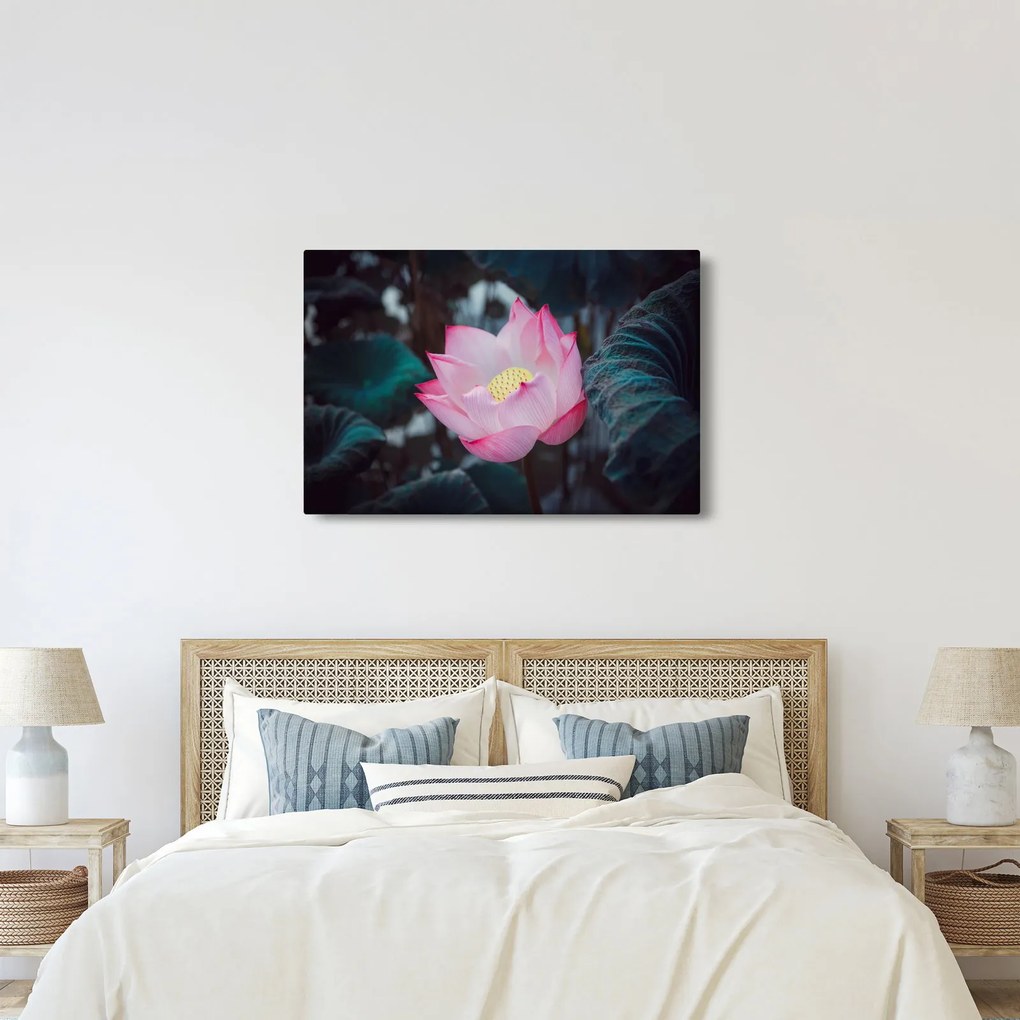 Tablou cu floare roz (90x60 cm)