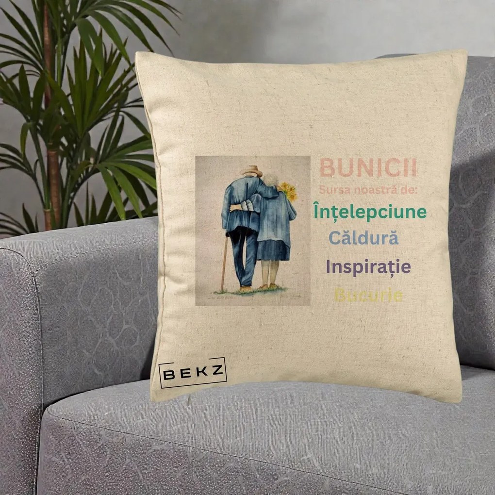 Cadou pentru Bunici - Perna Personalizata Bunicii Sursa Intelepciune Caldura Acuarela, 40x40 cm, Bej, Husa Detasabila, Perna Inclusa, BEKZ®