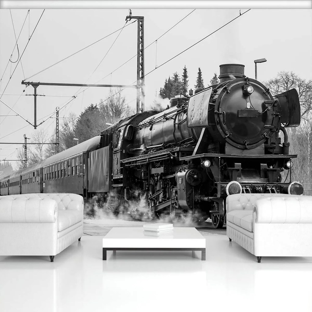 Fototapet - Locomotiva cu aburi (254x184 cm)