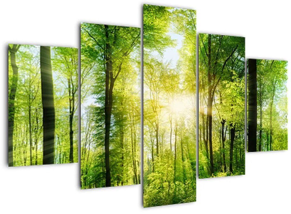 Tablou - Răsărit în pădure (150x105 cm)