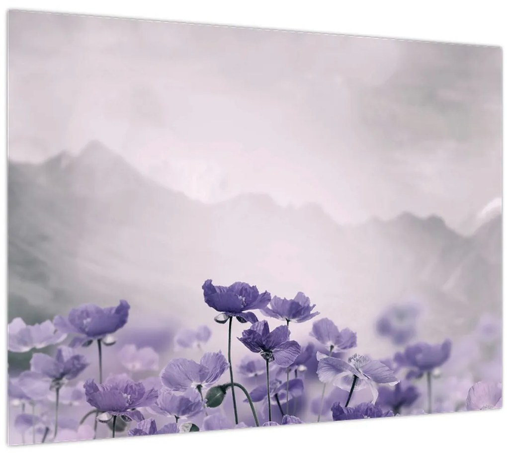 Tablou pe sticlă - Flori mov în munți (70x50 cm)
