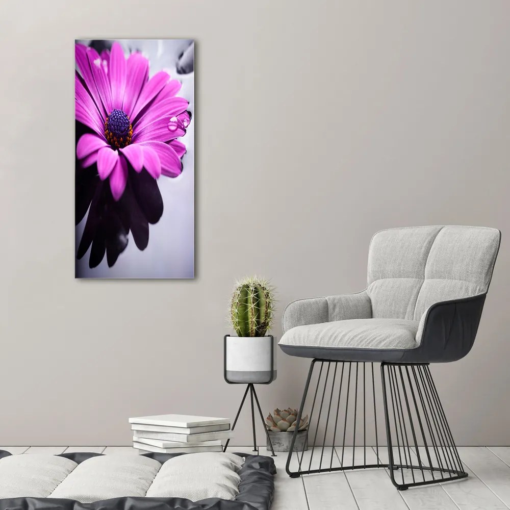 Print pe canvas Gerbera roz