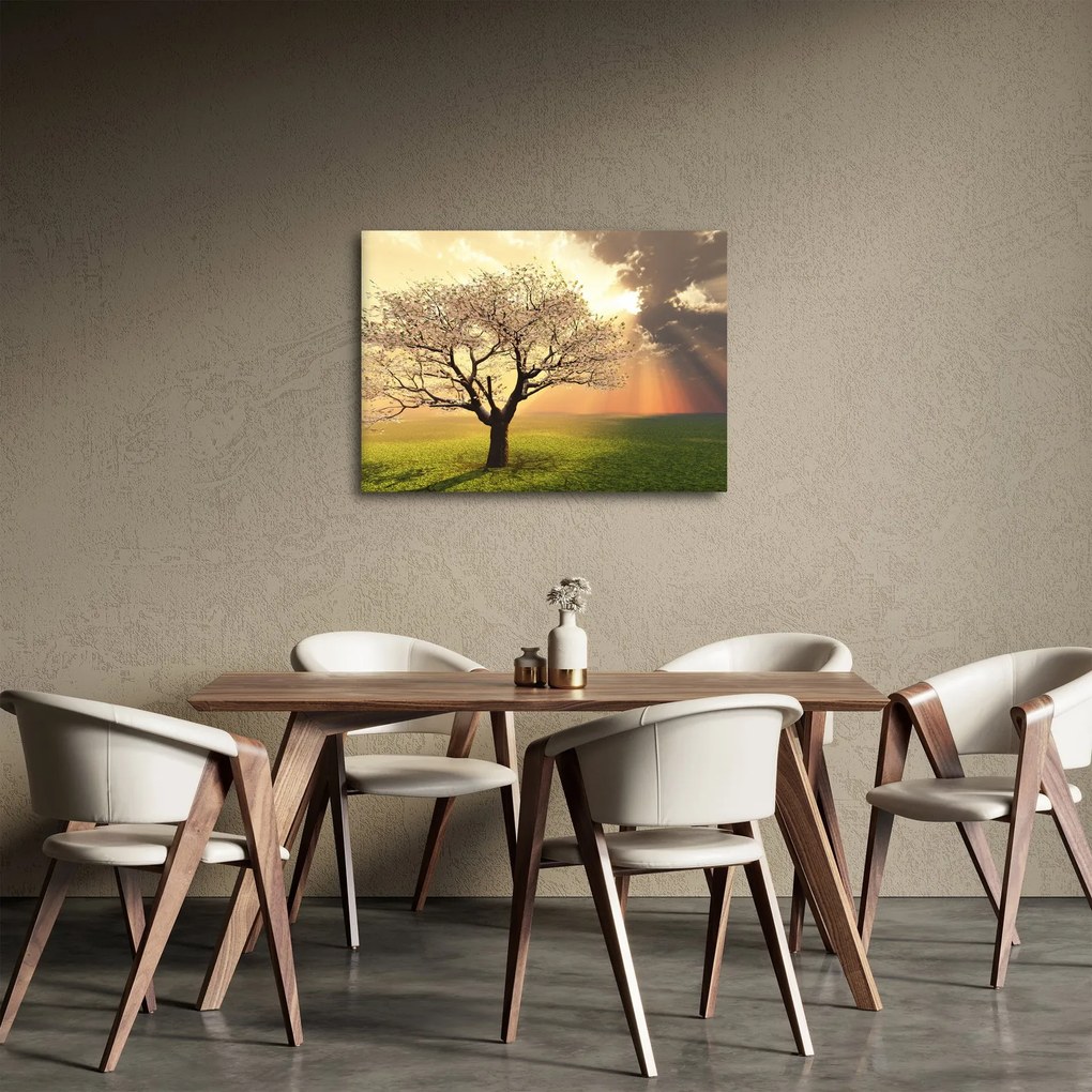 Tablou cu copac pe luncă (70x50 cm)