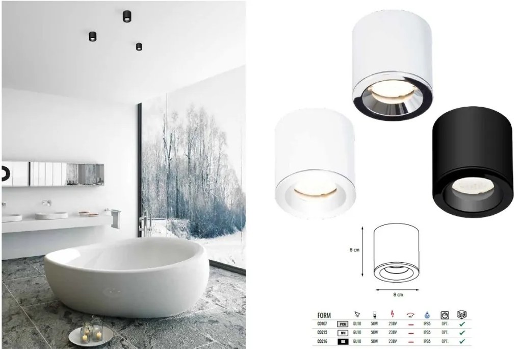 Spot aplicat design minimalist cu protectie IP65 FORM negru