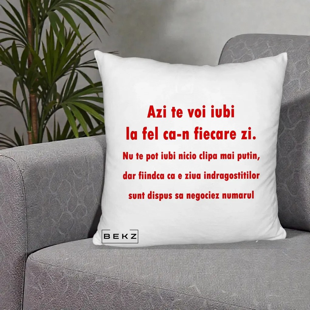 Cadou pentru Iubita - Perna Personalizata Azi Te Voi Iubi, 40x40 cm, Alb Pufos, Husa Detasabila, Perna Inclusa, BEKZ®