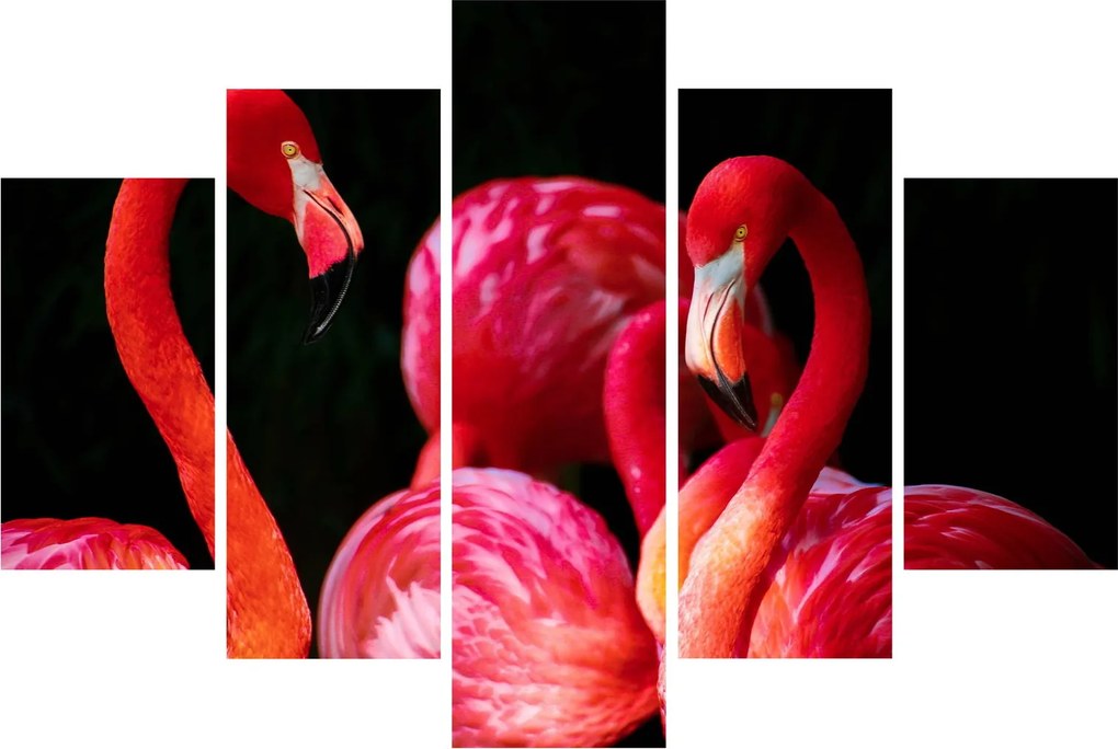 Tablou cu flamengo roșii (150x105 cm)