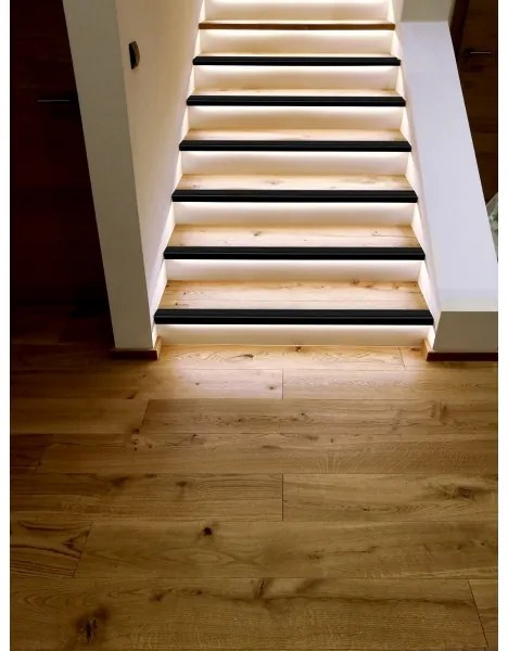 Bandă LED dimabilă Eglo 900577 2m COB STRIPE LED/13,2W/24/230V 2700-6500K + telecomandă