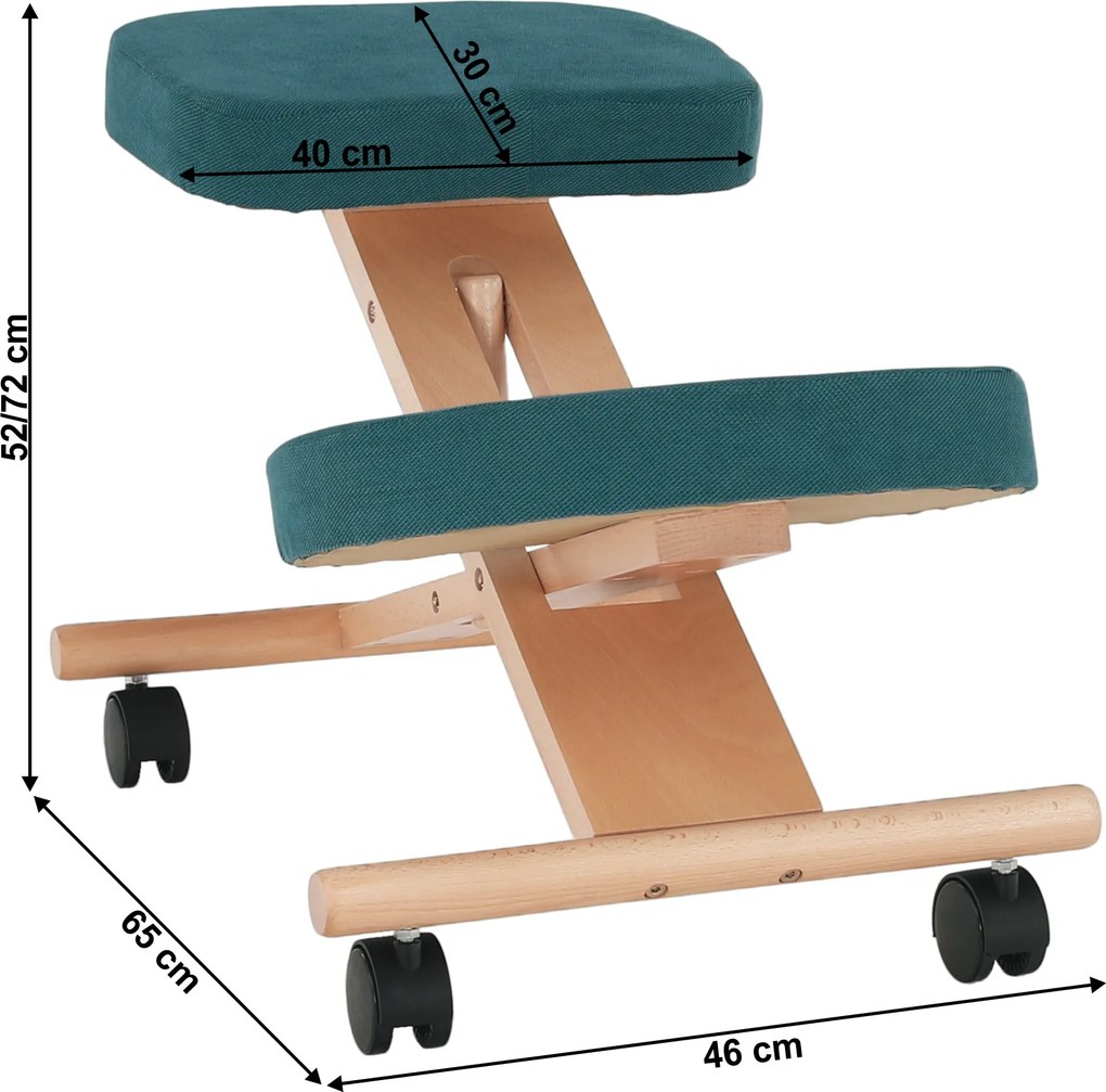 Scaun ergonomic, petrol/ fag, FLONET