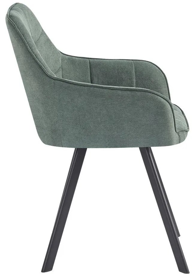 Fotoliu design Petena (Verde + Negru) . 1097100