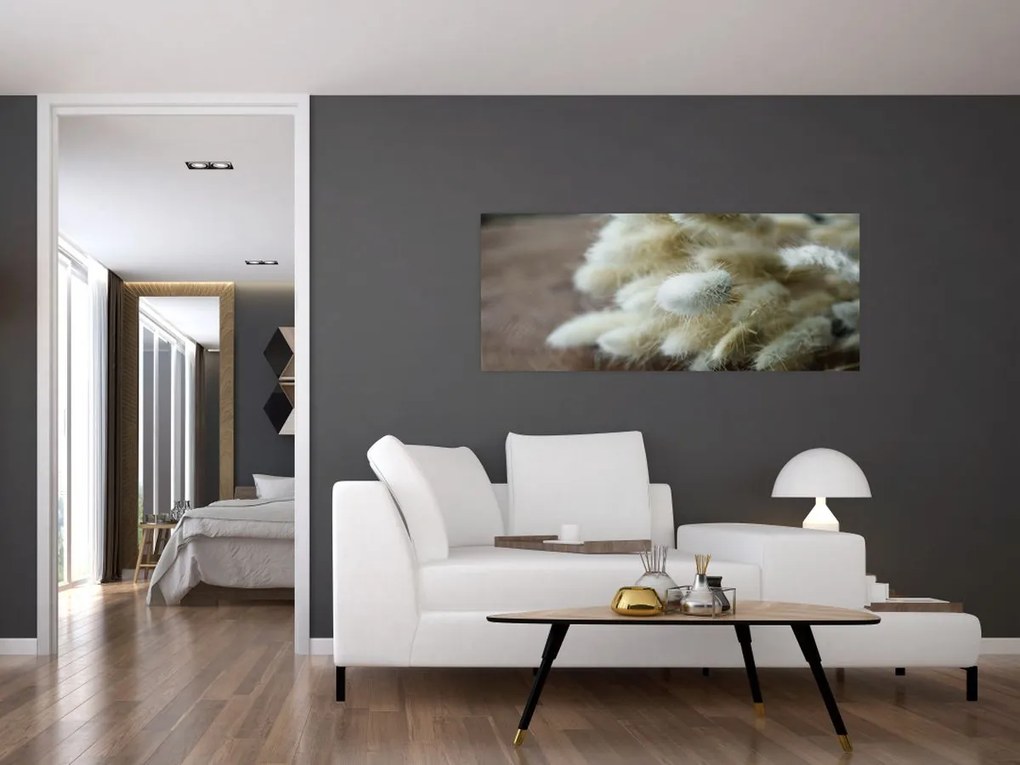 Tablou - Coadă de iepure (120x50 cm)