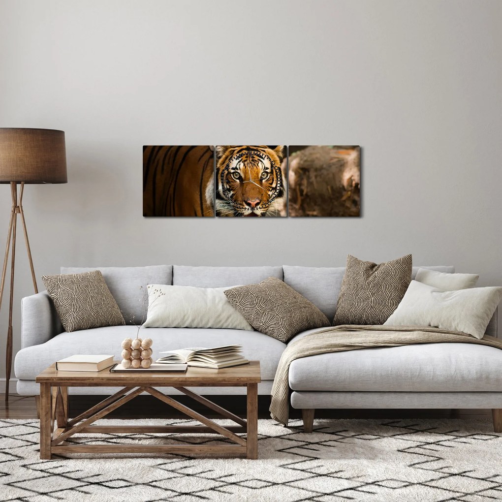 Tablou cu tigrul (cu ceas) (90x30 cm)
