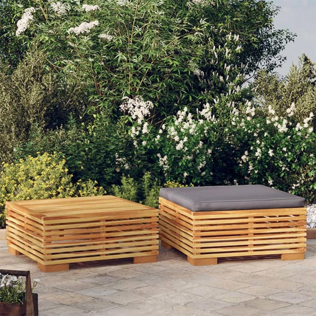 319170 vidaXL Set mobilier de grădină, 2 piese, lemn masiv de tec