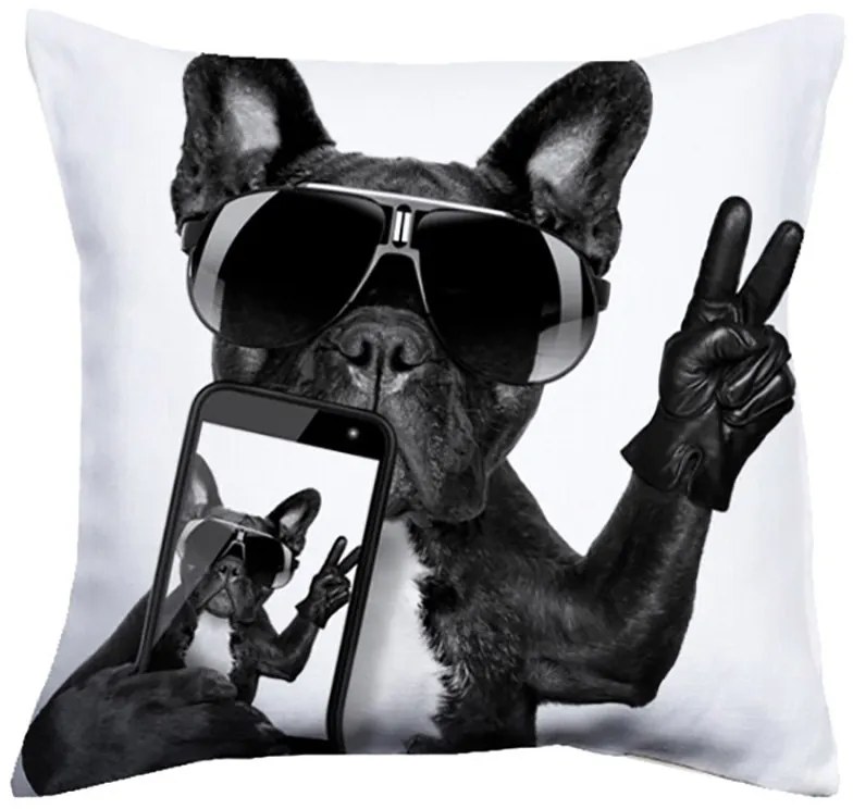 Perna moderna Cool Dog 40x40