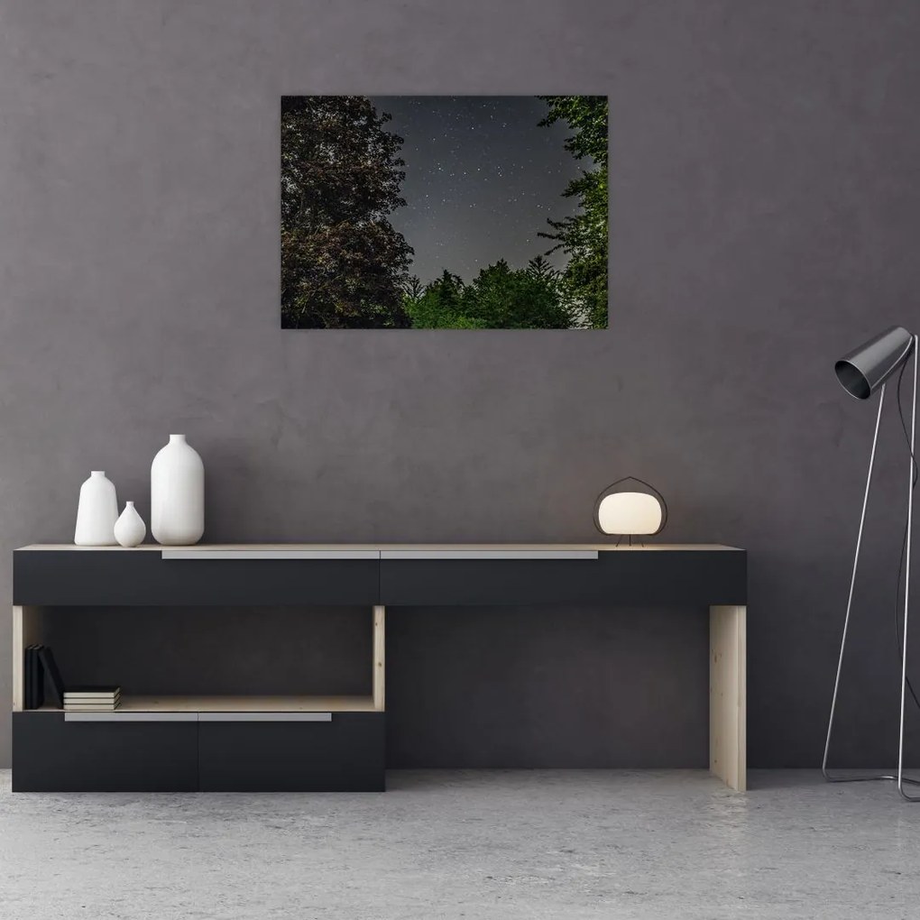 Tablou cu cerul nocturn (70x50 cm)