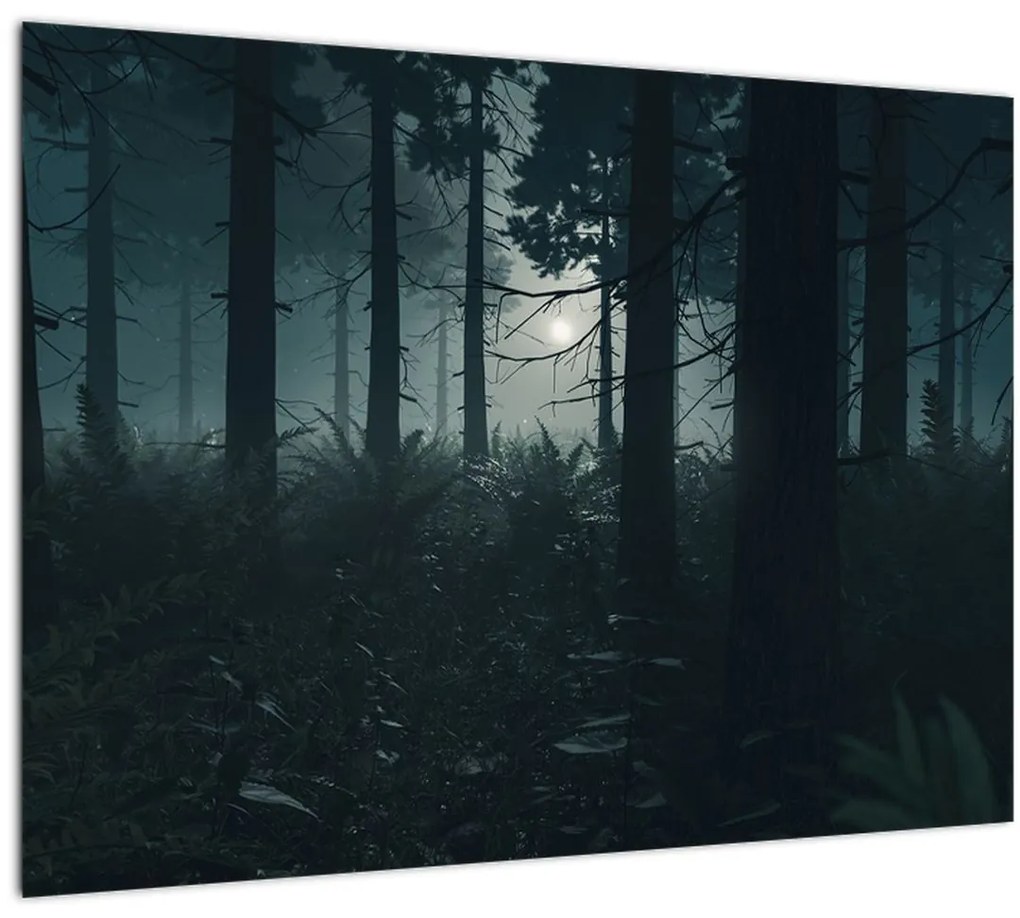 Tablou - Ferigi în lumina lunii (70x50 cm)