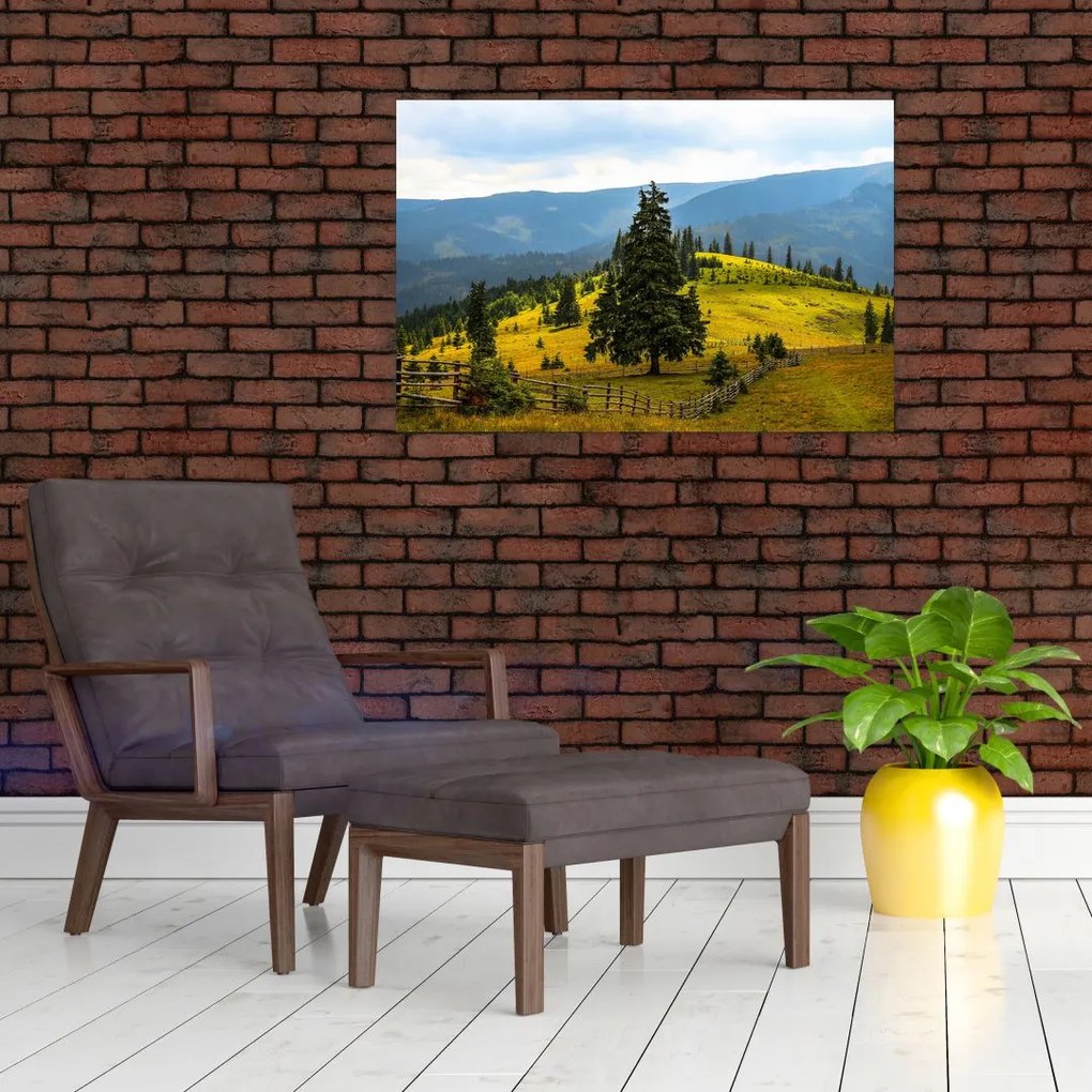 Tablou - Lunca de munte (90x60 cm)