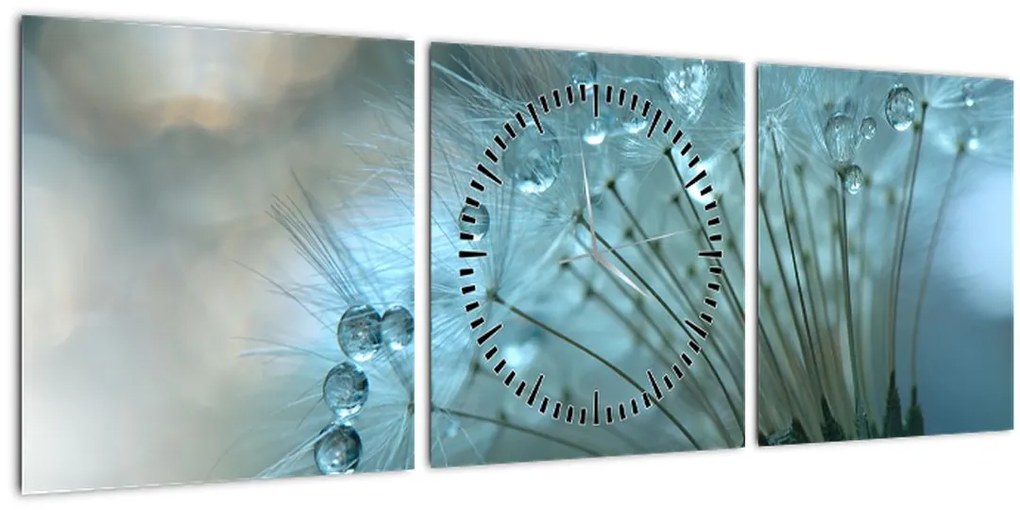 Tablou - păpădie - petrol (cu ceas) (90x30 cm)