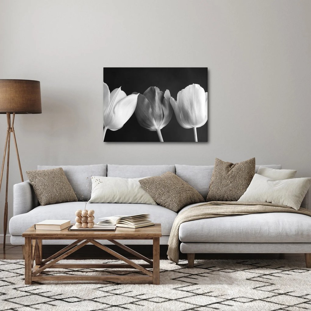 Tablou - Lalele alb negre (70x50 cm)