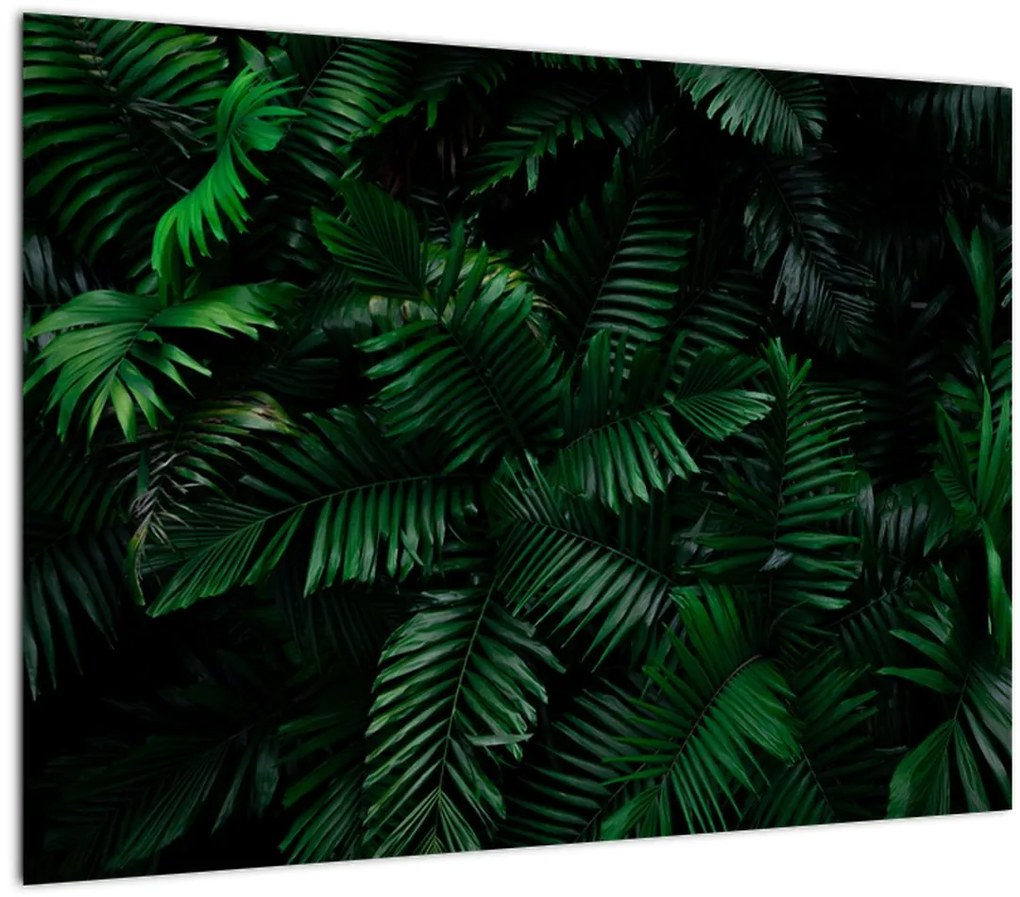 Tablou - Păpădii tropicale (70x50 cm)