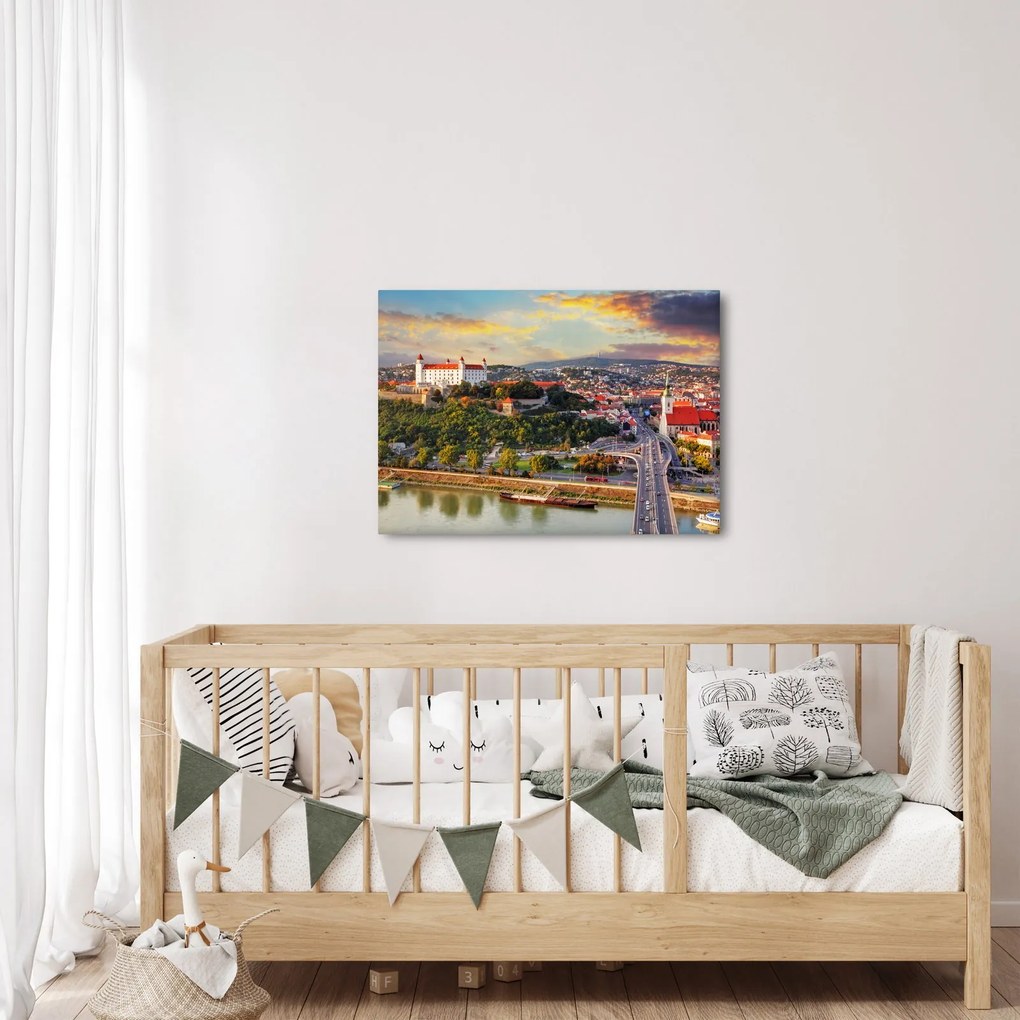 Tablou - Panorama bratislavei, Slovacia (70x50 cm)