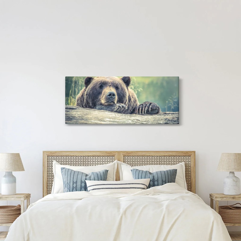 Tablou cu urs (120x50 cm)