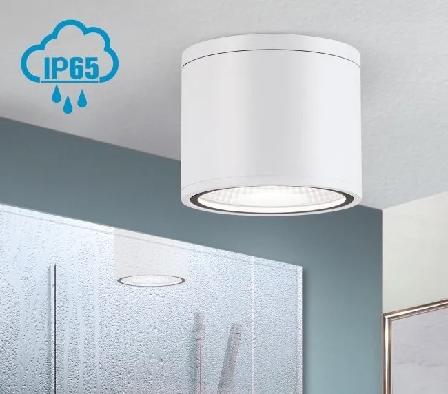 Spot LED aplicat cu protectie la umiditate IP65, SPUTNIK 14,5cm, alb