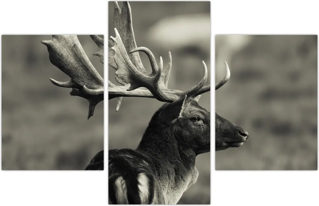 Tablou - Cerb (90x60 cm)
