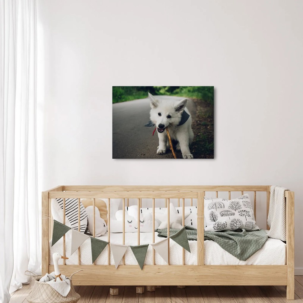 Tablou cu câinele alb (70x50 cm)