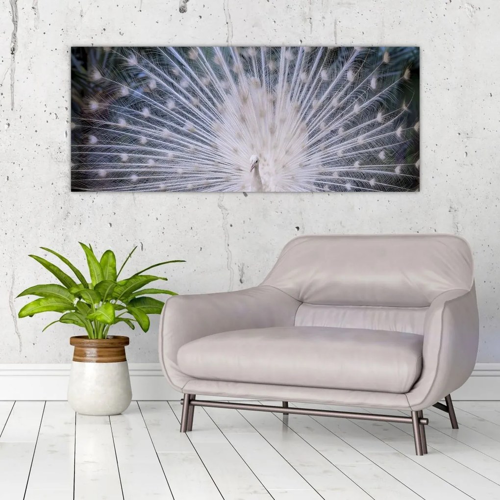 Tablou - Păun alb (120x50 cm)