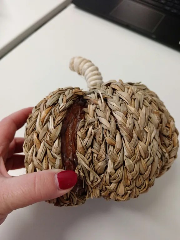 OFERTA Decoratiune dovleac PUMPKIN COACH GRASS II.calitate