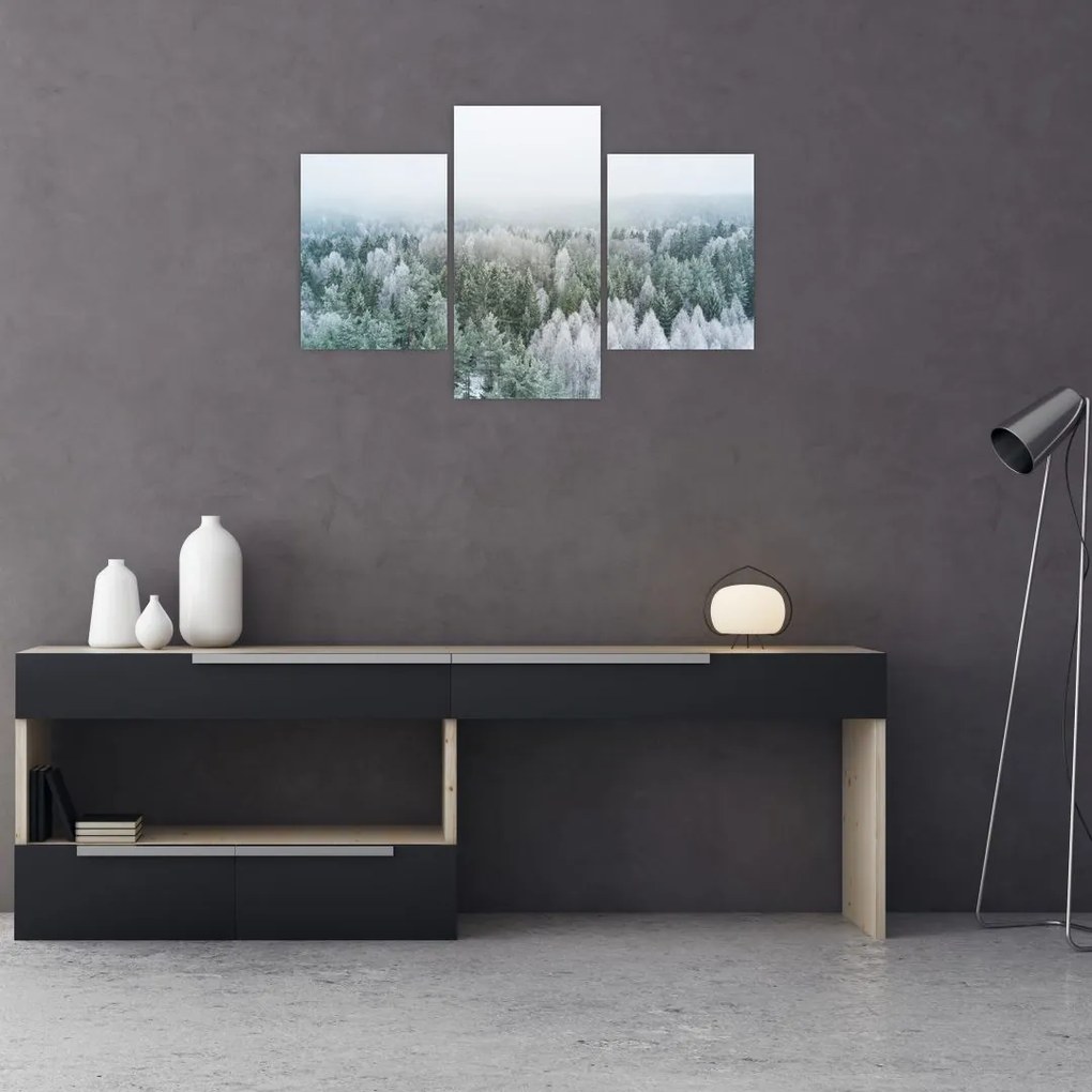 Tablou - Crestele munțillor înzăpezite (90x60 cm)