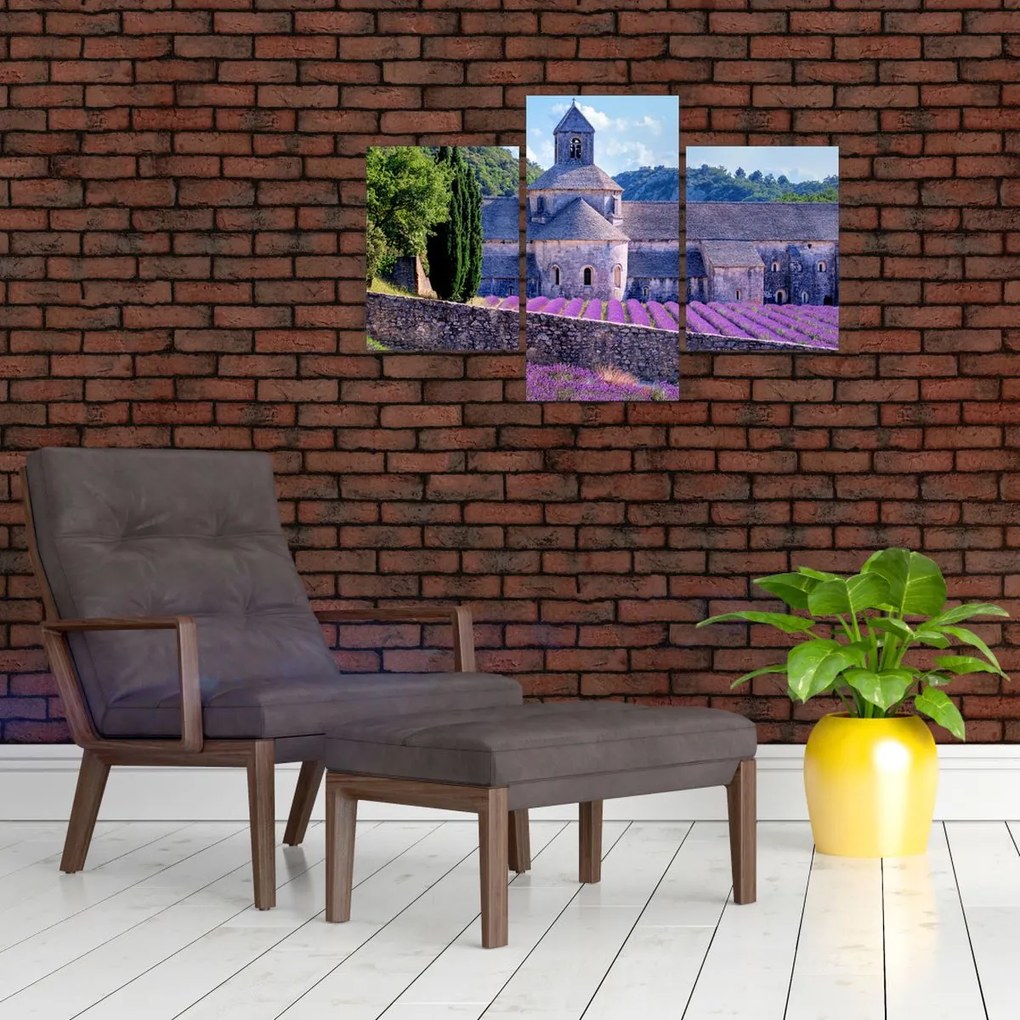 Tablou - Câmp de lavandă (90x60 cm)