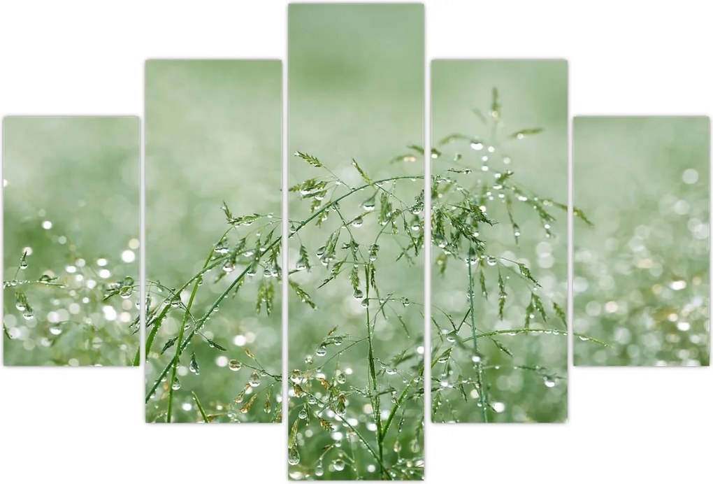 Tablou - Trandafir în iarbâ (150x105 cm)