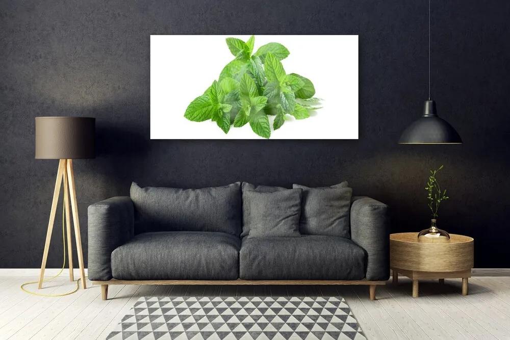 Tablouri acrilice Mint Green Floral