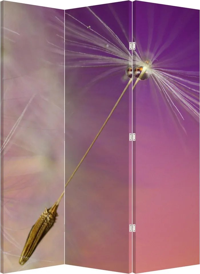 Paravan - Floarea norocul (126x170 cm)