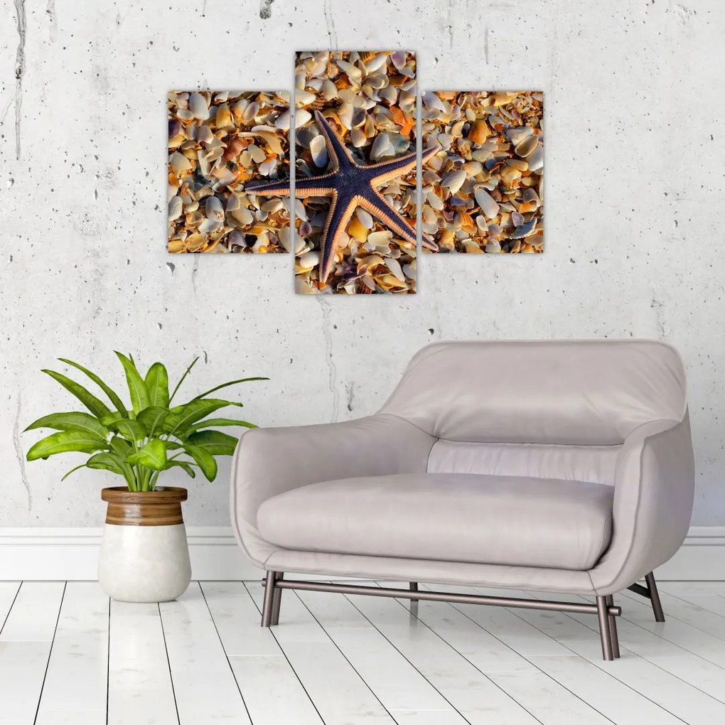 Tablou cu stea de mare (90x60 cm)