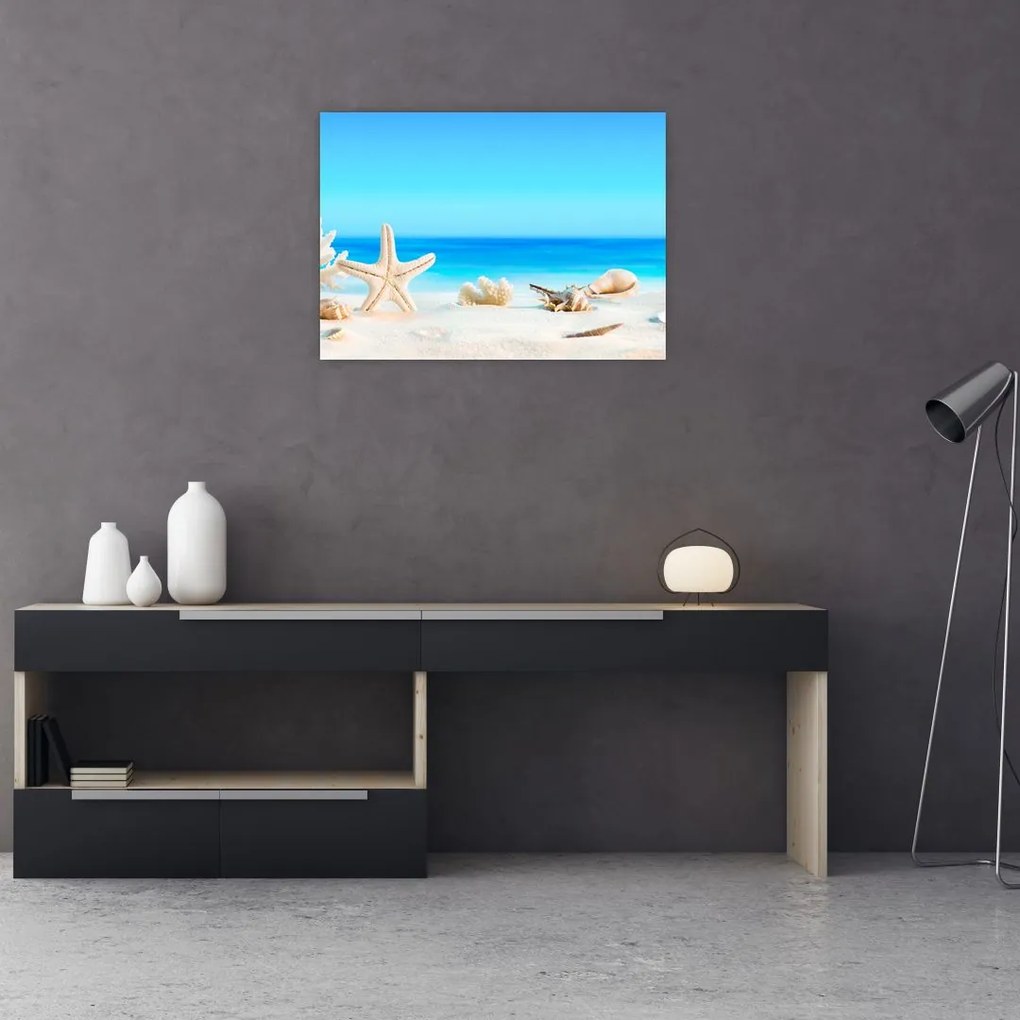 Tablou - Natura morta cu scoici (70x50 cm)