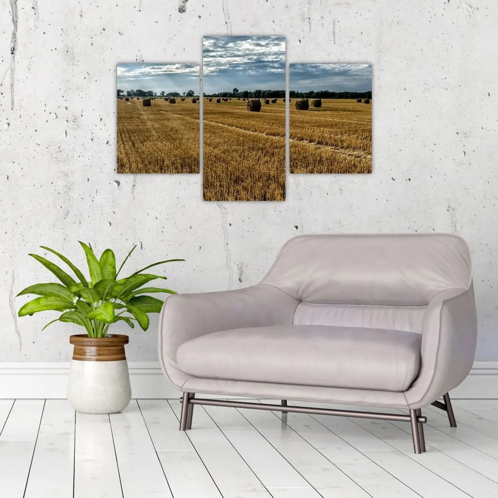 Tablou cu câmp recoltat (90x60 cm)