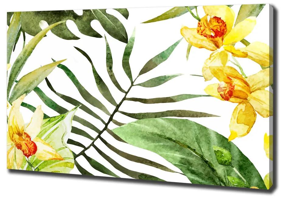 Imprimare tablou canvas Flori tropicale