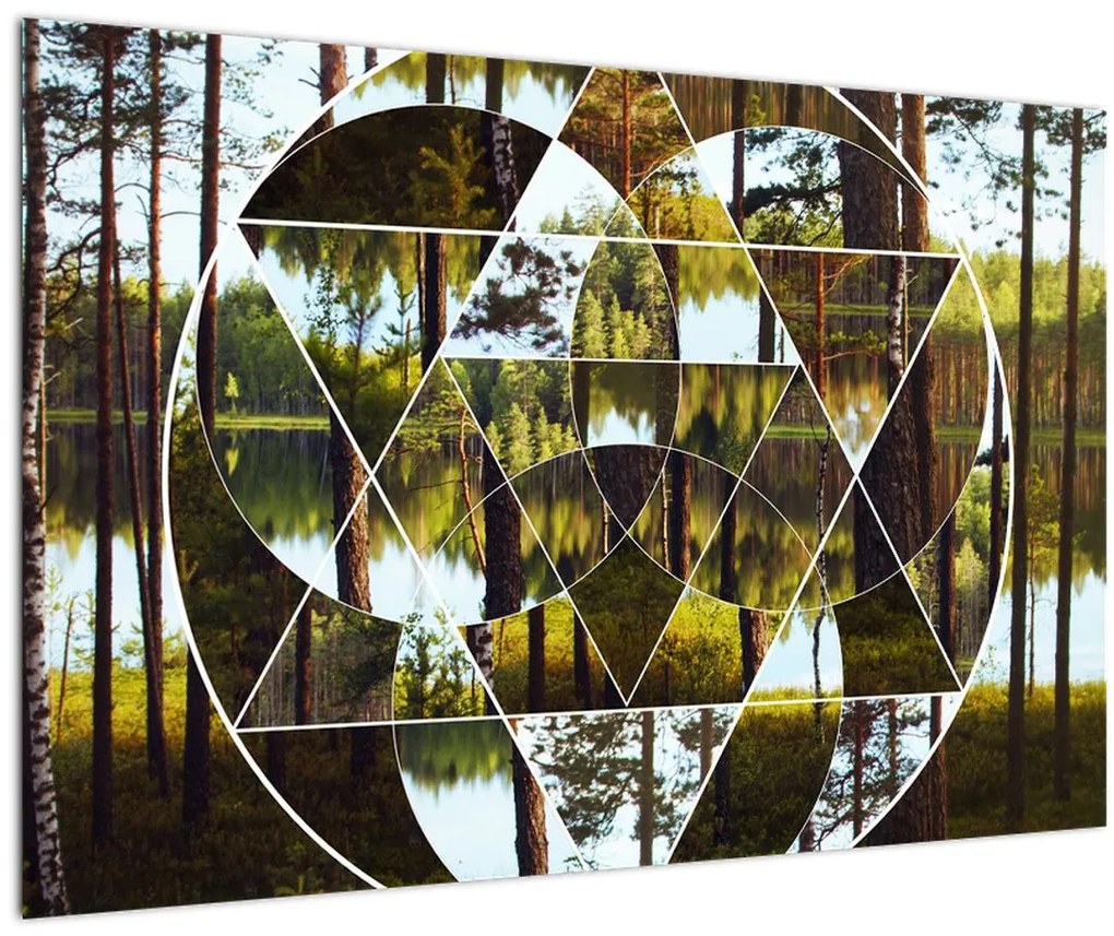 Tablou - Colaj geometric pe fundalul pădurilor nordice (90x60 cm)