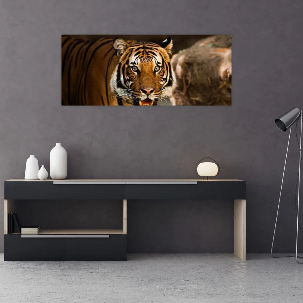 Tablou cu tigrul (120x50 cm)