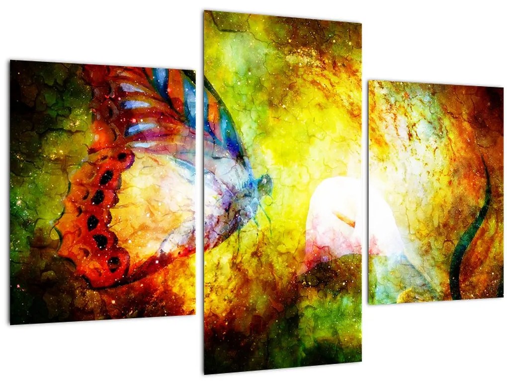 Tablou - Fluture spațial (90x60 cm)