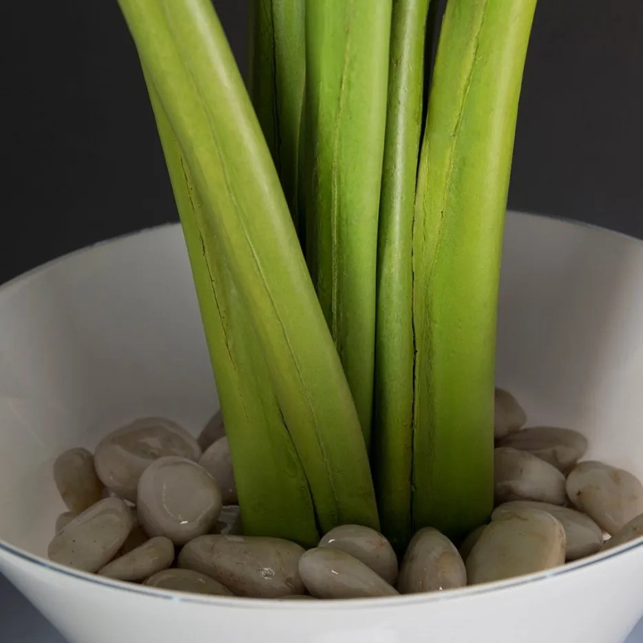 Aranjament floral mare ETERNITY CLEX PARADISE, 215cm