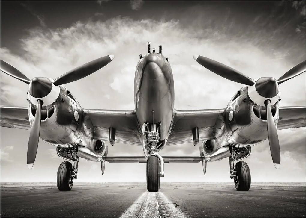Tablou pe sticlă - Warbird (70x50 cm)