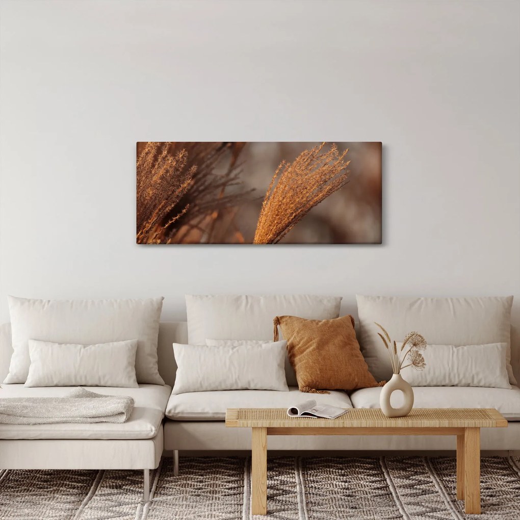Tablou - Cortaderie (120x50 cm)