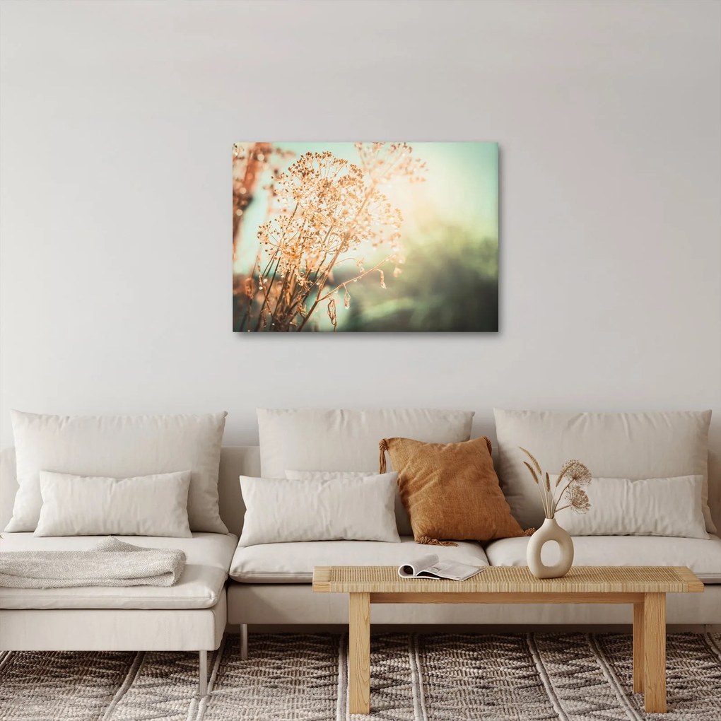 Tablou - Plante după ploaie (70x50 cm)