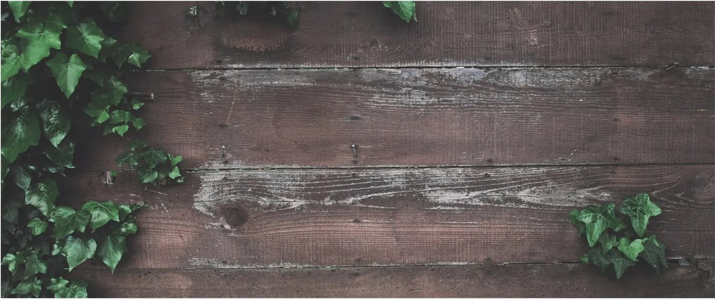 Tablou - Lederă (120x50 cm)