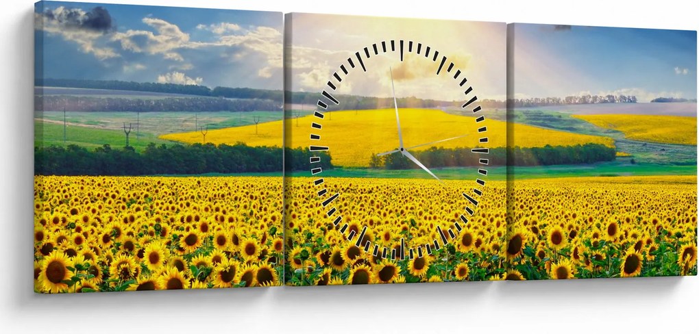 Tablou - Câmp cu floarea soarelui (cu ceas) (90x30 cm)