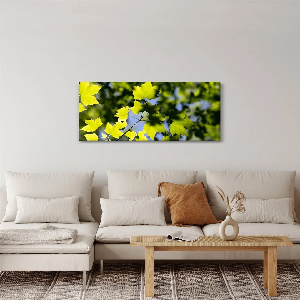 Tablou - frunze de arțar (120x50 cm)